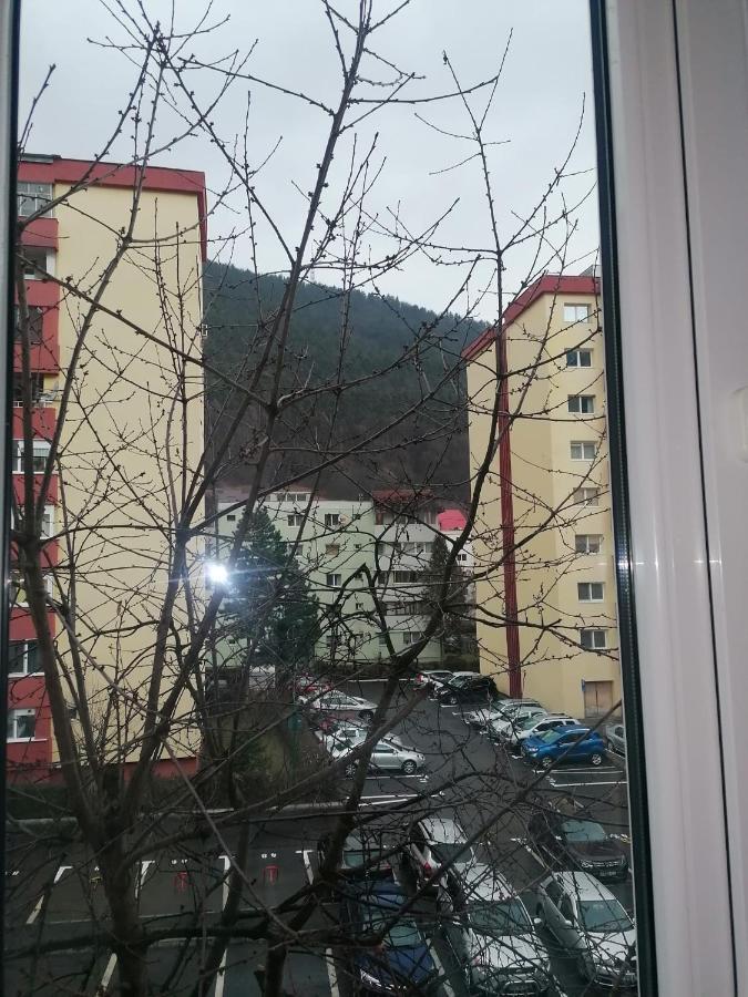 Apartament Racadau Brasov Exterior photo